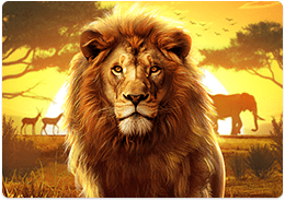 Safari Wilds